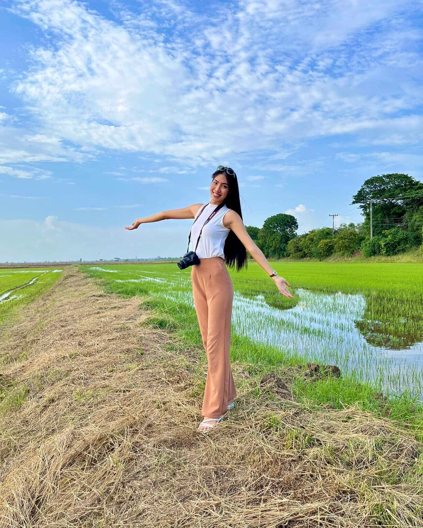 สแตมป์ ทานตะวัน